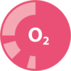 O2-Regelung