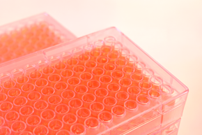 Kuhner Science Talk: Mastering microtiter plate cultivations – From mixing to reliable results