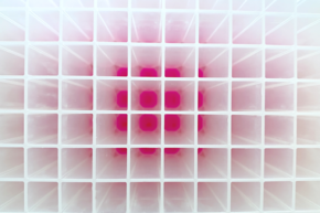 Kuhner Science Talk: Online Monitoring Innovations – for Shake Flasks  & Microtiter Plates