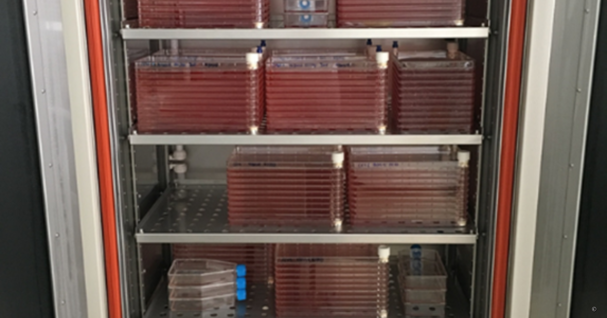 Kuhner – “Cell factory“ systems