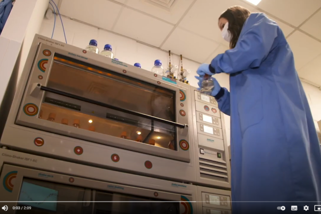 Cooking up Covid antibodies in a Kuhner shaker incubator