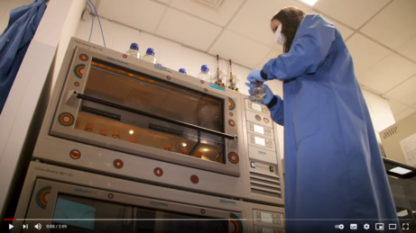 Cooking up antibodies in a Kuhner shaker incubator