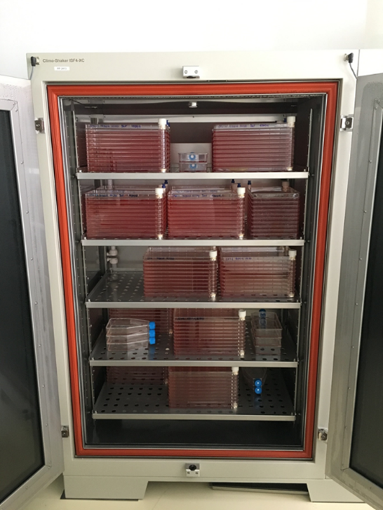 “Cell factory“ systems