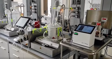 𝗙𝗿𝗼𝗺 𝗗𝗮𝘁𝗮 𝘁𝗼 𝗗𝗲𝗰𝗶𝘀𝗶𝗼𝗻𝘀: 𝗛𝗼𝘄 𝗖‑𝗡𝗲𝘁𝗶𝗰𝘀 𝗮𝗻𝗱 𝗦𝗕𝟭𝟬‑𝗫 𝗘𝗺𝗽𝗼𝘄𝗲𝗿 𝗕𝗶𝗼𝗽𝗿𝗼𝗰𝗲𝘀𝘀𝗶𝗻𝗴