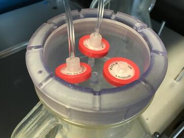 Massgeschneiderte Kühner TOM Verschlusskappen für Online-Monitoring in geschüttelten Kultivierungsgefässen