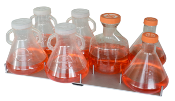 Reagenzglashalter für 5x600mL TPP tubes