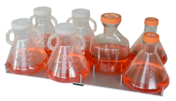 Reagenzglashalter für 5x600mL TPP tubes