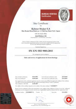 ISO 9001 